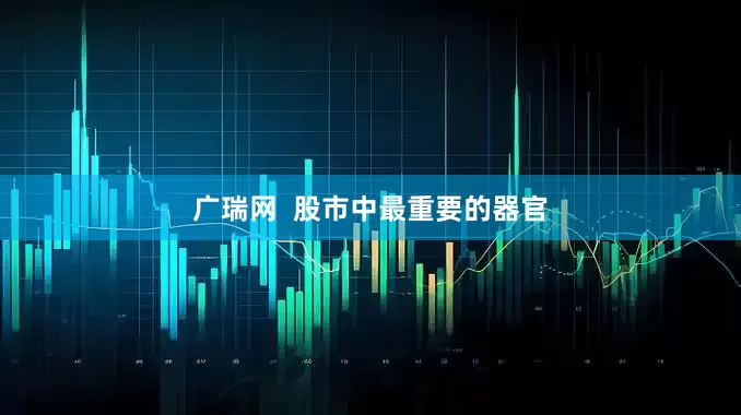 广瑞网  股市中最重要的器官