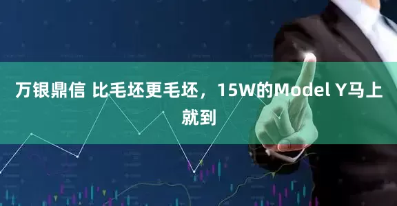 万银鼎信 比毛坯更毛坯，15W的Model Y马上就到