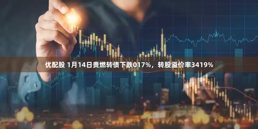 优配股 1月14日贵燃转债下跌017%，转股溢价率3419%