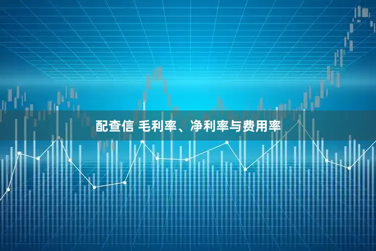 配查信 毛利率、净利率与费用率
